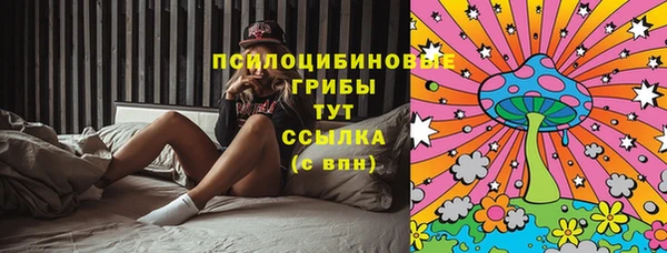 ГАЛЛЮЦИНОГЕННЫЕ ГРИБЫ Богданович