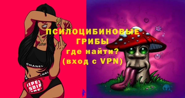 ГАЛЛЮЦИНОГЕННЫЕ ГРИБЫ Белокуриха